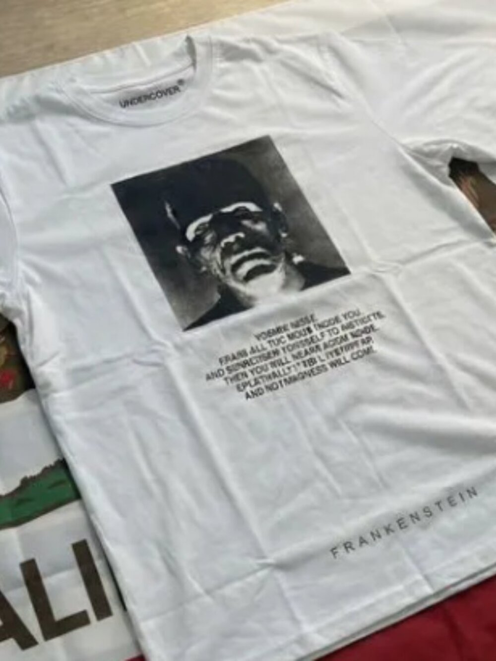 Undercover Frankenstein